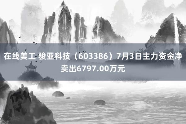 在线美工 骏亚科技（603386）7月3日主力资金净卖出6797.00万元