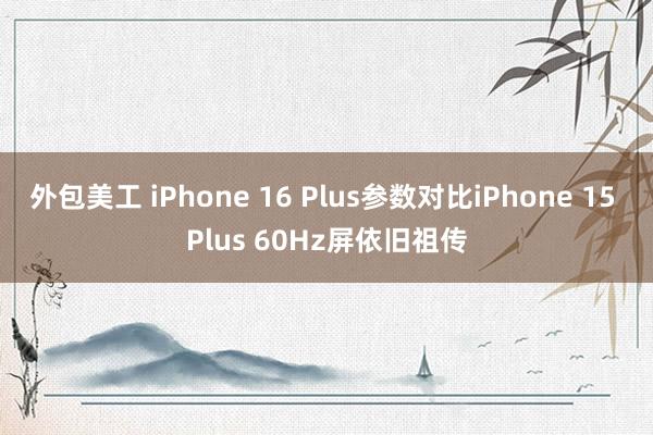 外包美工 iPhone 16 Plus参数对比iPhone 15 Plus 60Hz屏依旧祖传