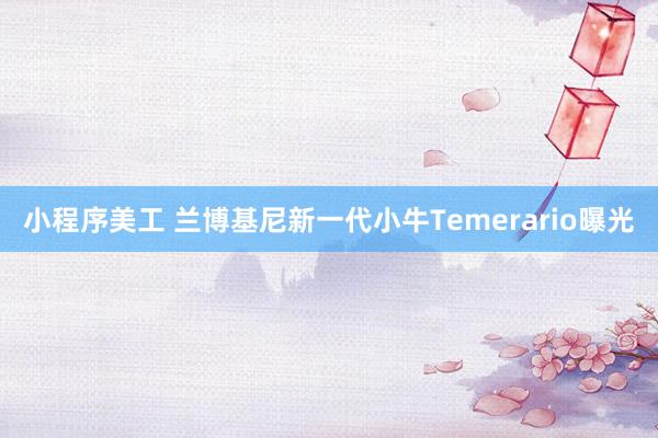 小程序美工 兰博基尼新一代小牛Temerario曝光