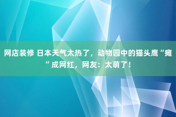 网店装修 日本天气太热了，动物园中的猫头鹰“瘫”成网红，网友：太萌了！