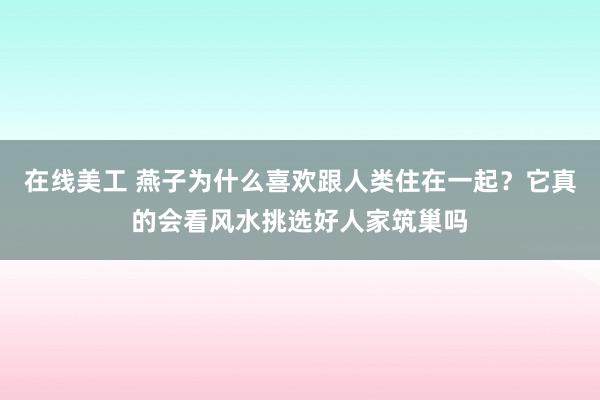 在线美工 燕子为什么喜欢跟人类住在一起？它真的会看风水挑选好人家筑巢吗